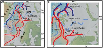 Early Holocene Establishment of the Barents Sea Arctic Front